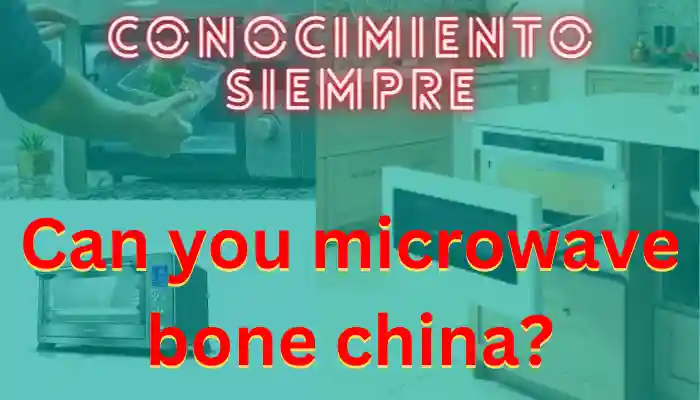 Puedes poner porcelana china en el microondas