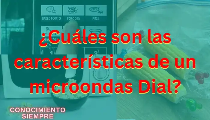 Cuáles son las características de un microondas Dial