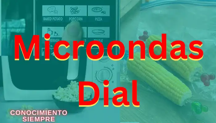 Qué es un microondas Dial