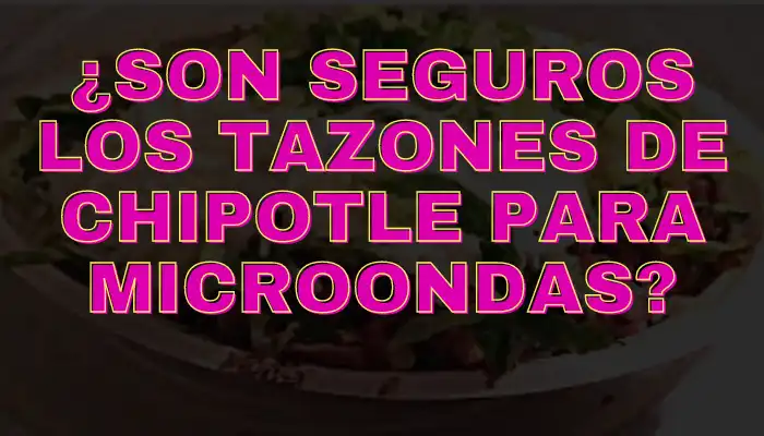 Son seguros los tazones de chipotle para microondas