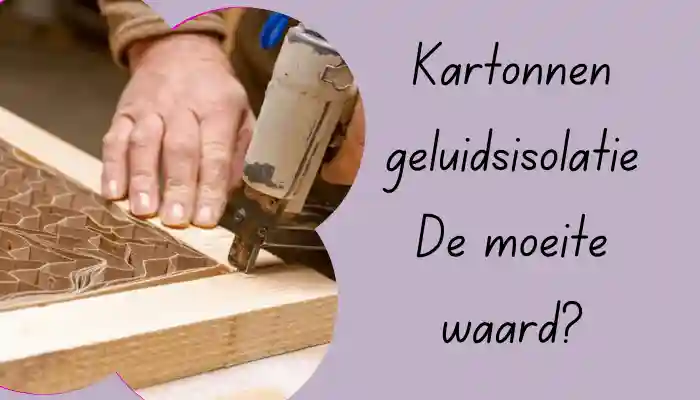 Karton Geluidsisolatie De Moeite Waard