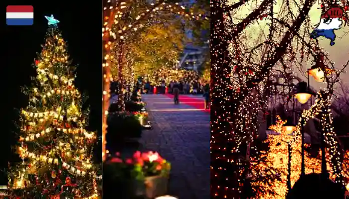 Hoe bomen omwikkelen met buitenverlichting