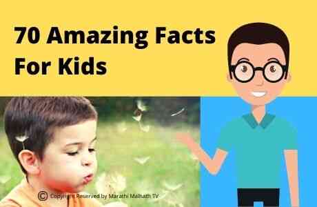 amazing facts for kids