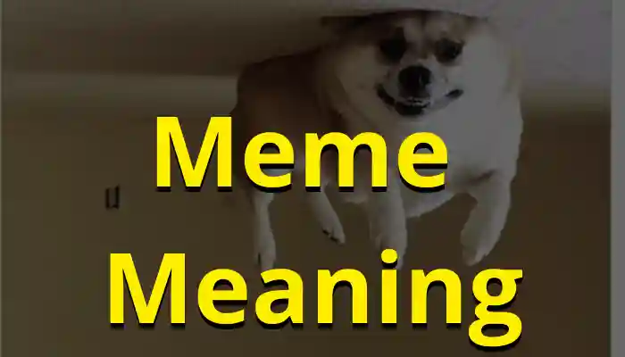 Meme Meaning