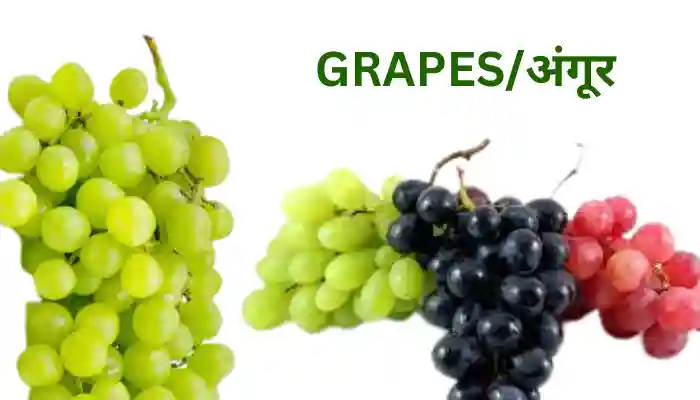 Grapes Information in Hindi