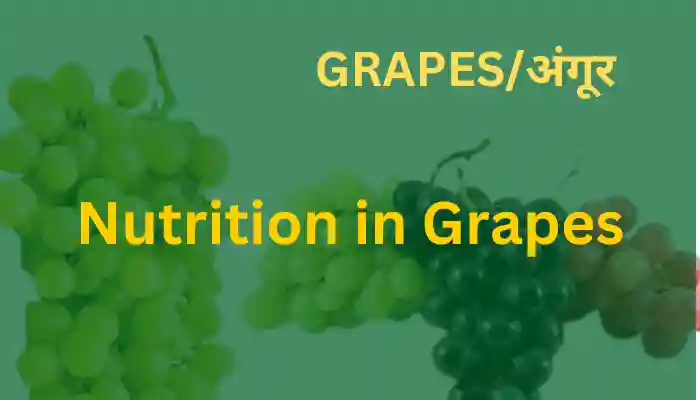 Nutrition in Grapes