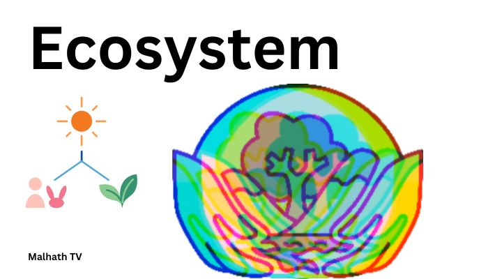 types of ecosystem