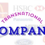 transnational company